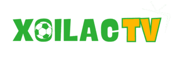 chỉ số wbc là gì